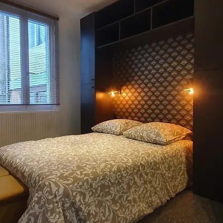Maisonnette Cosy Tb Equipee Holiday home Domene
